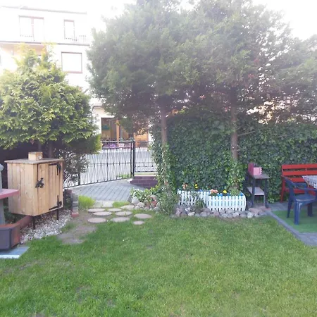 Wega * Władysławowo